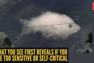 Optical illusion personality test: Fish or cloud? What you see first reveals if you are too sensitive or self-critical