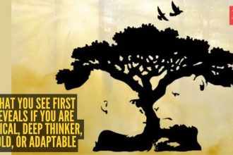 Optical illusion personality test: Lion, gorilla, tree or birds? What you see first reveals if you are logical, deep thinker,