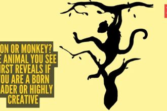 Optical illusion personality test: Lion or monkey? The animal you see first reveals if you are a born leader or highly creati