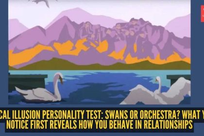 Optical illusion personality test: Swans or orchestra? What you notice first reveals how you behave in relationships