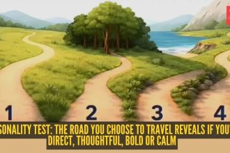 Personality test: The road you choose to travel reveals if you're direct, thoughtful, bold or calm