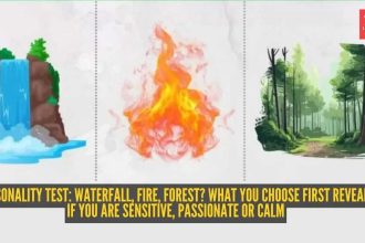 Personality test: Waterfall, fire, forest? What you choose first reveals if you are sensitive, passionate or calm