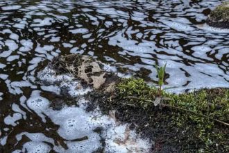 Pollution Devastates River Spey: Suspected chemical spill kills fish and birds; probe targets industrial link