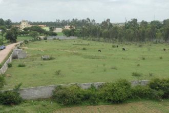 Pune collectorate sends final proposal for permanent transfer of Mundhwa land to BSI