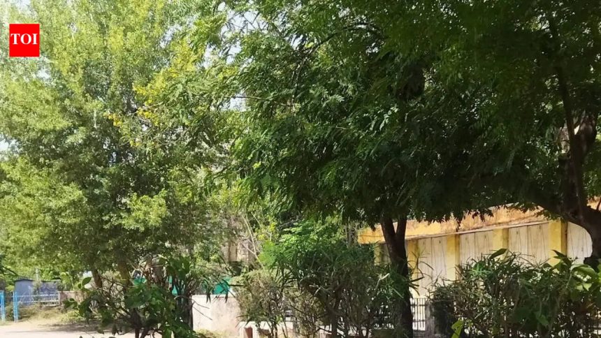 SC stray dog verdict leaves Jaipur grappling with with infrastructure gaps