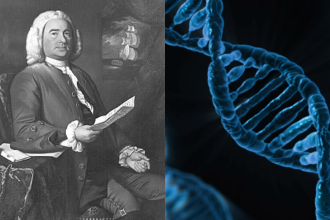 Scientists reveal more than 1.3 million people may share DNA with Maryland’s earliest colonists