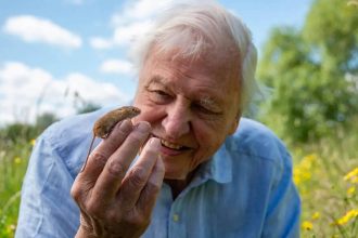 Sir David Attenborough celebrates 100th birthday: The life, legacy, and global impact of the world’s most beloved natural h