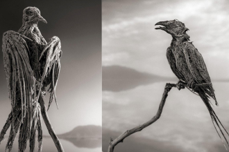 The dead lake: This Tanzanian lake can turn dead animals into stone-like statues