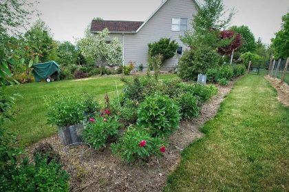 The narrow bed mistake: Why your slim front garden looks cluttered instead of elegant