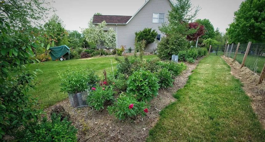 The narrow bed mistake: Why your slim front garden looks cluttered instead of elegant