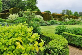 The simple evergreen-to-flowering trick that makes flower beds look good all year