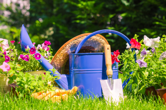 Things you are not allowed to do in your garden in the UK