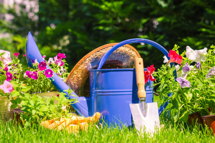 Things you are not allowed to do in your garden in the UK