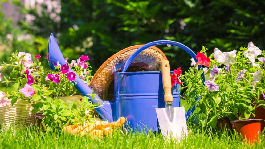 Things you are not allowed to do in your garden in the UK
