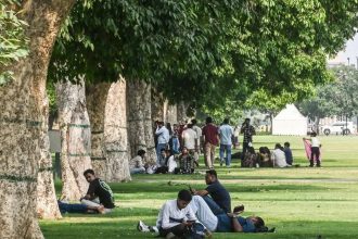 Trees cut extra city heat by half, but not quite where most needed