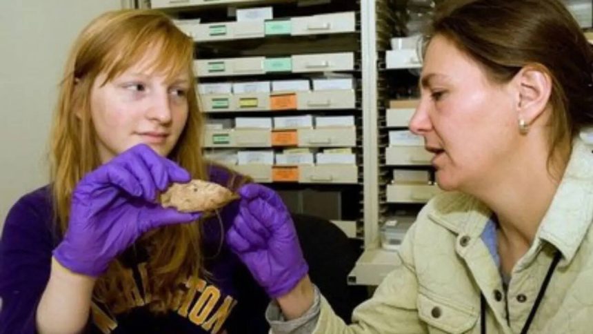What looked like ordinary rubble on a university campus turned out to be a 6,700-year-old Native American artefact