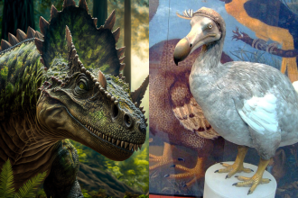 Why are humans obsessed with bringing back Dinosaurs: Exploring de-extinction