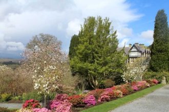 Why repeating plants makes a garden border look instantly better