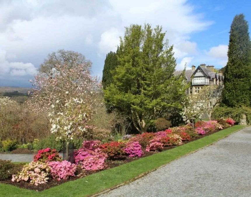 Why repeating plants makes a garden border look instantly better