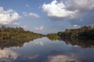World’s massive Mississippi River shockingly reversed its flow during Hurricane Isaac in 2012 in the United States: Scienti