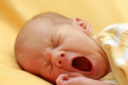 Yawning Shifts Brain Fluids: MRI study finds CSF and blood flows change; hints at brain homeostasis