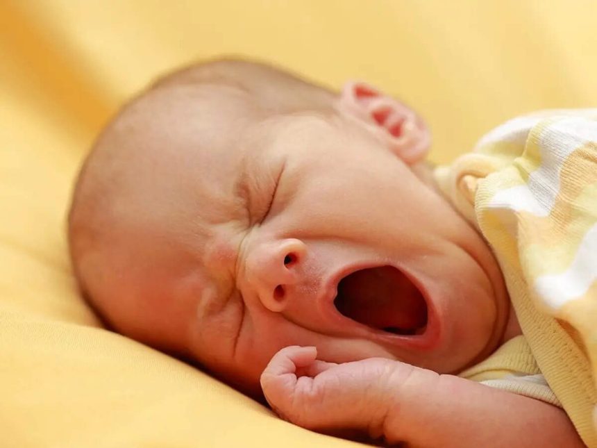 Yawning Shifts Brain Fluids: MRI study finds CSF and blood flows change; hints at brain homeostasis