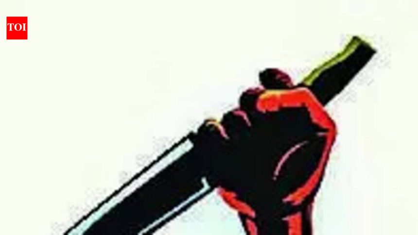 Youth stabbed to death in Bhalswa Dairy