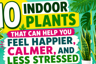 10 beautiful indoor plants for your mental health