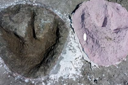 166-million-year-old Jurassic dinosaur highway discovered beneath a British quarry