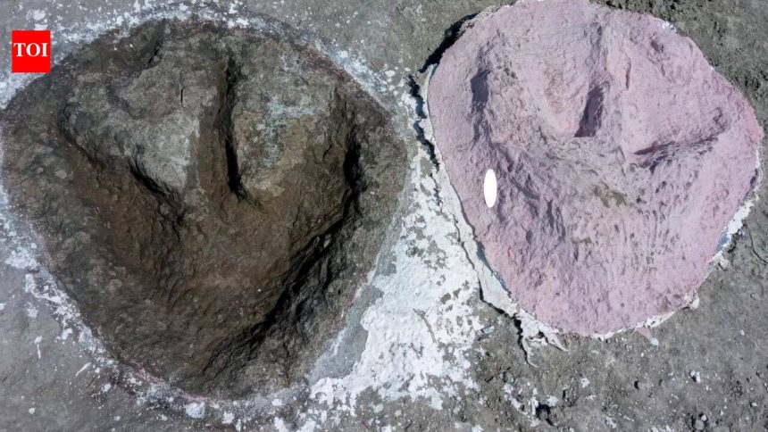 166-million-year-old Jurassic dinosaur highway discovered beneath a British quarry