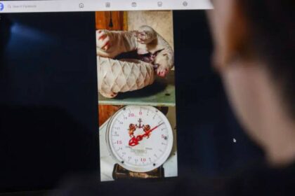 20,000 ads, 2,60,000 products: Report exposes Meta's wildlife trafficking market