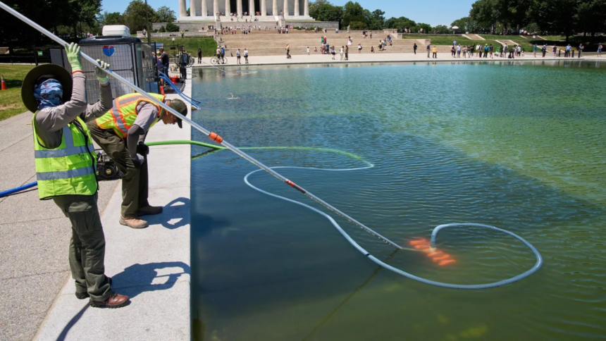 '250-ft gash, poured chemicals': Trump claims vandals damaged Reflecting Pool