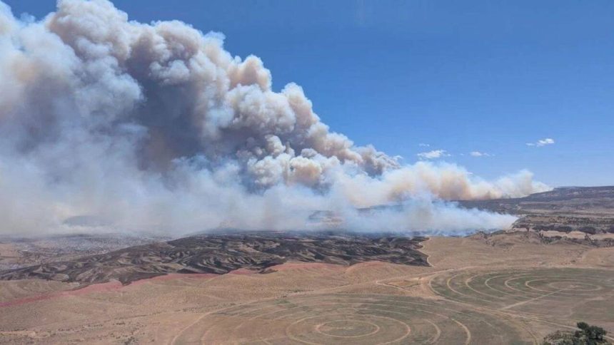 3 firefighters killed battling wildfires on Colorado-Utah border, blazes spread across US West