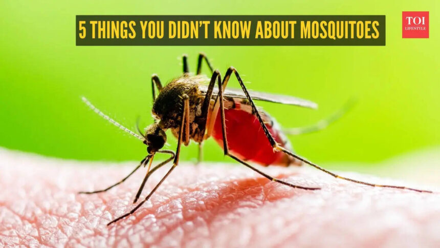 5 things you didn’t know about mosquitoes