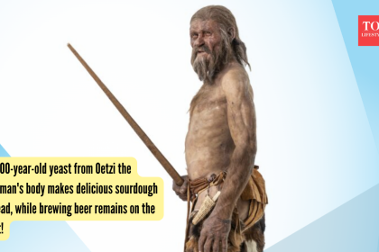 5,300-year-old yeast from Oetzi the Iceman's body makes delicious sourdough bread, while brewing beer remains on the list!