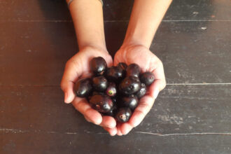 6 delicious jamun dishes that make getting vitamin C surprisingly easy