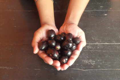 6 delicious jamun dishes that make getting vitamin C surprisingly easy