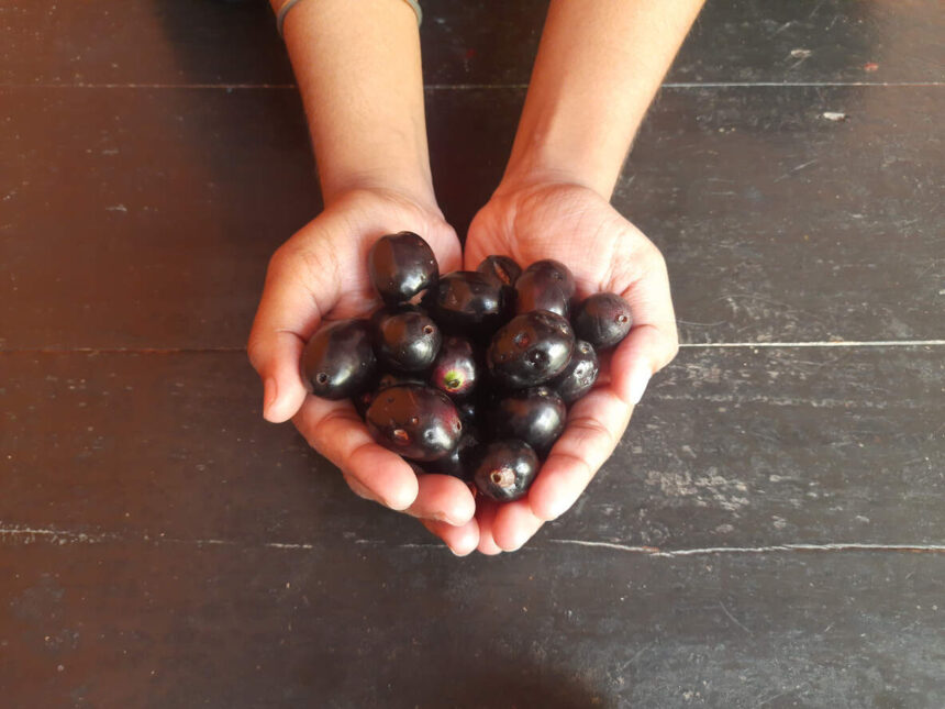 6 delicious jamun dishes that make getting vitamin C surprisingly easy