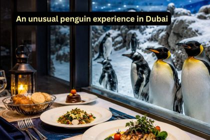 A meal with penguins amid snow: The unusual travel experience you didn’t know existed in Dubai