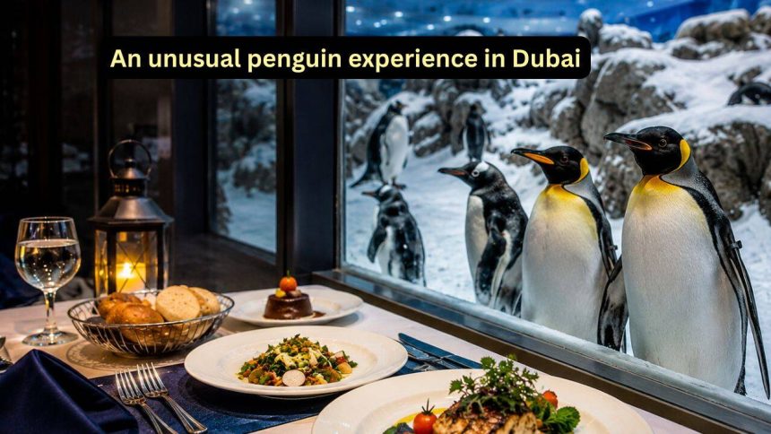 A meal with penguins amid snow: The unusual travel experience you didn’t know existed in Dubai