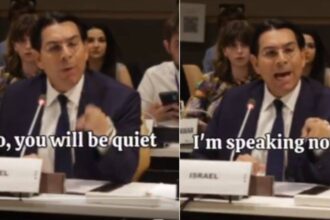 'Be quiet now': Israeli envoy shouts at UN official at hearing on children in conflict; watch
