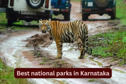 Best national parks in Karnataka: 8 wildlife destinations for tiger safari and birdwatching