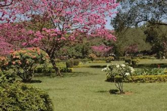 Canadian man settles in India with wife's family: Cost of living way lower than Toronto, lost 14lbs in 5 months