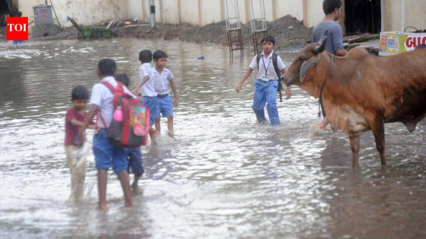 Check waterlogging spots, streetlights before monsoon: Ahmedabad Mayor