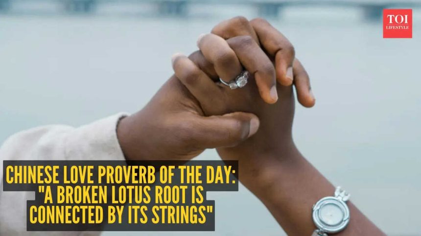 Chinese love proverb of the day: "A broken lotus root is connected by its strings"