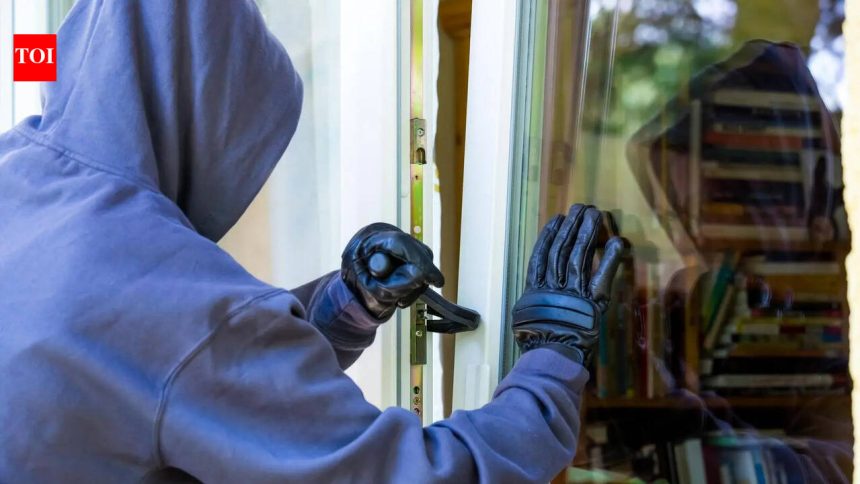 Crime data report: Daylight break-ins a concern in Ludhiana, but burglaries drop to a 7-year low.