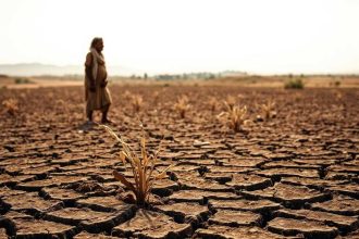 El Niño impact: Centre identifies 197 'most vulnerable' districts, readies contingency plan