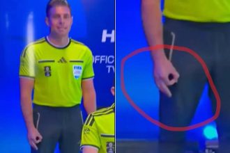 FIFA WC: VAR official's 'neo-Nazi' OK gesture sparks row — what does it mean?