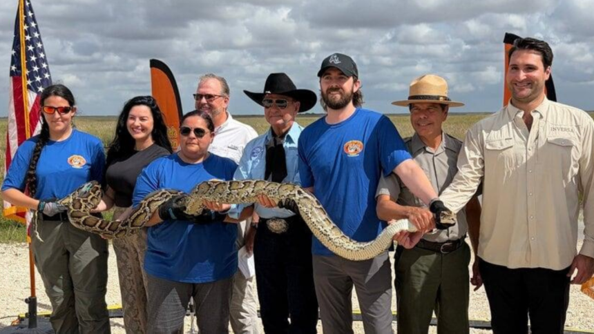 Florida's Burmese python challenge can't wipe out invasive snakes from the Everglades. Awareness is the real victory, officia