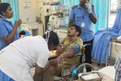 Forest officer hurt in gaur attack in Periyar reserve